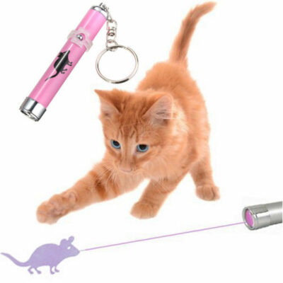 Laser εικονικό ποντίκι παιχνίδι για γάτες - PETPOINT