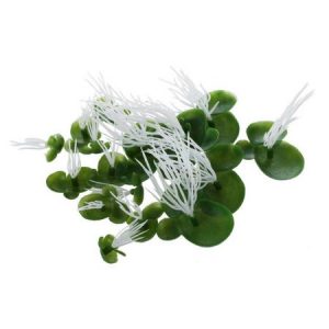 Διακοσμητικό φυτό ενυδρείου επιφανείας σετ με 18 διάφορα μεγέθη  - Lemna LM18C