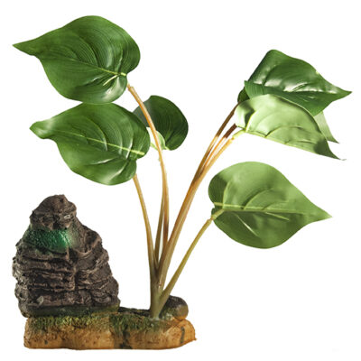 Διακοσμητικό πλατύφυλλο φυτό ενυδρείου και Terrarium 26cm με βράχο - AR2526  MONWA