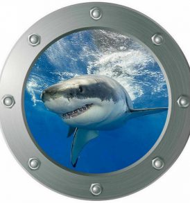 3D Αυτοκόλλητο τοίχου τρισδιάστατο φινιστρίνι με βυθό ωκεανό και καρχαρία 29Χ29cm - 3DSH29 OEM