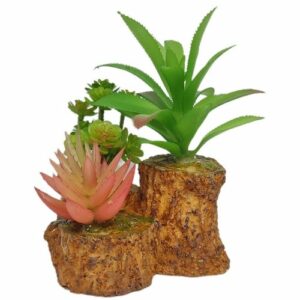 Διακοσμητικό φυτό ενυδρείου και Terrarium με 3 φυτά σε πετρα 14Χ11cm  - TP120  MONWA
