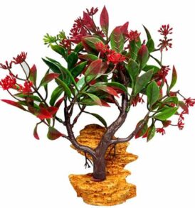 Διακοσμητικό φυτό ενυδρείου και Terrarium με κόκκινο φυτό πάνω σε βράχο 20Χ10cm  - RD25  MONWA