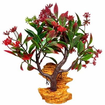 Διακοσμητικό φυτό ενυδρείου και Terrarium με κόκκινο φυτό πάνω σε βράχο 20Χ10cm  - RD25  MONWA