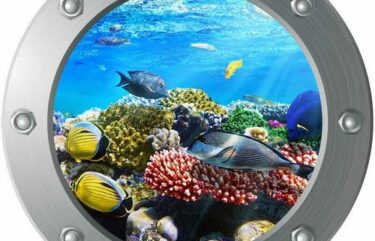 3D Αυτοκόλλητο τοίχου τρισδιάστατο φινιστρίνι με βυθό κοράλλια και κοπάδι ψάρια  - 3DCFL30 OEM